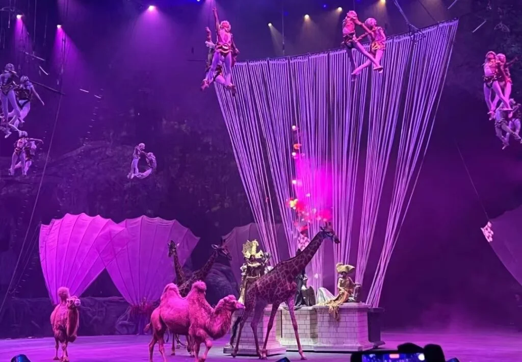 At Chimelong International Circus, you can see a real-life forest