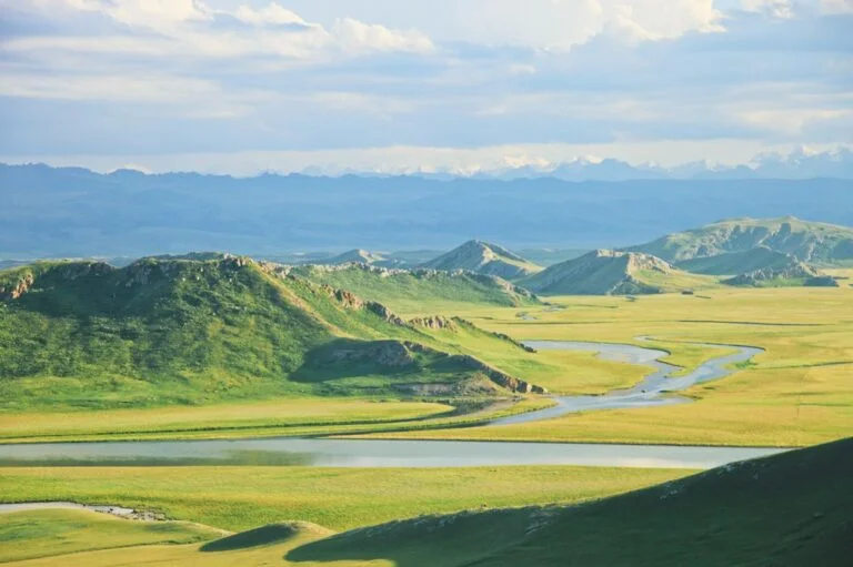 The Bayanbulak Grassland is a typical meadow grassland