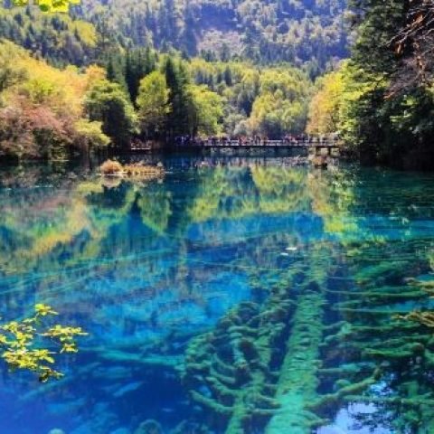 The five-flower sea in Jiuzhaigou can show the colors such as goose yellow, dark green, deep blue and navy blue-500