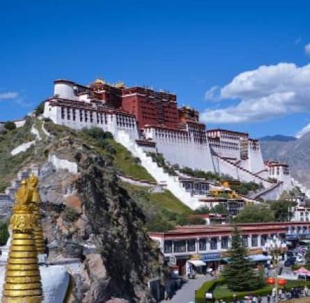 Under the blue sky and white clouds, the Potala Palace looks more majestic-500