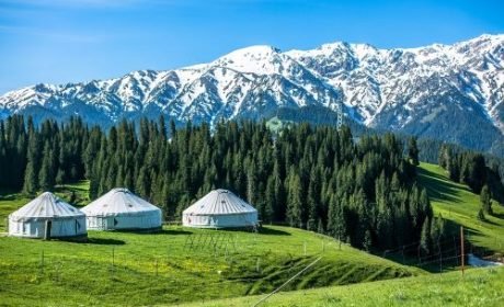 Xinjiang Ancient Ecological Park, snow-capped mountains in the distance and grasslands near by-500